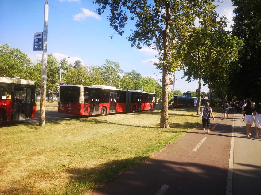 Kolona autobusa koji ne mogu da prođu