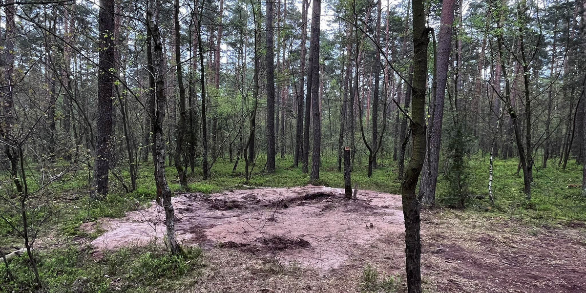 W kwietniu 2023 r., w lesie pod Bydgoszczą, turystka znalazła szczątki rosyjskiego pocisku Ch-55.