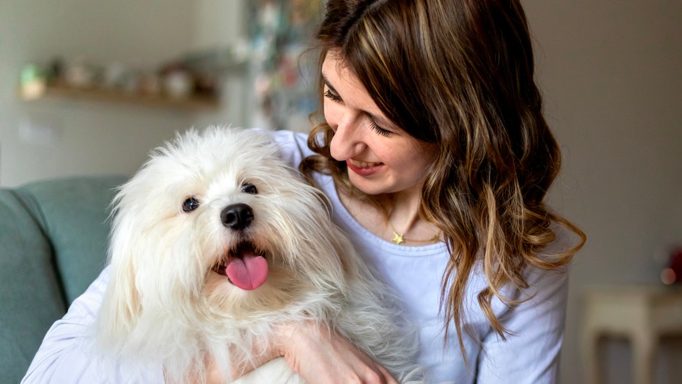 Pes zachránil život svojej majiteľke. (Ilustračné foto)