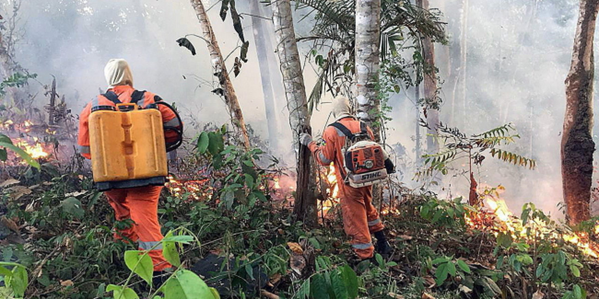 Brazylia nie ma wystarczających środków aby walczyć z rekordową liczbą pożarów w Amazonii - powiedział w czwartek prezydent tego kraju Jair Bolsonaro. Problem pożarów w Amazonii wywołuje zaniepokojenie na całym świecie. Są one w tym roku większe o 83 proc. w porównaniu z ubiegłym rokiem.