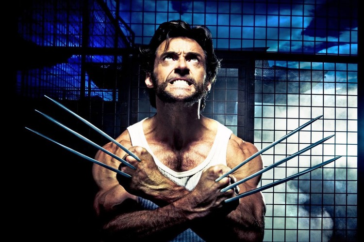 'Wolverine'