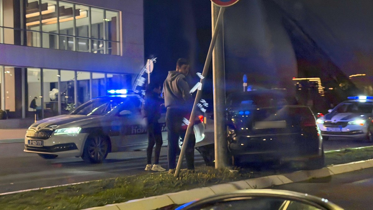 Udes kod Sava centra