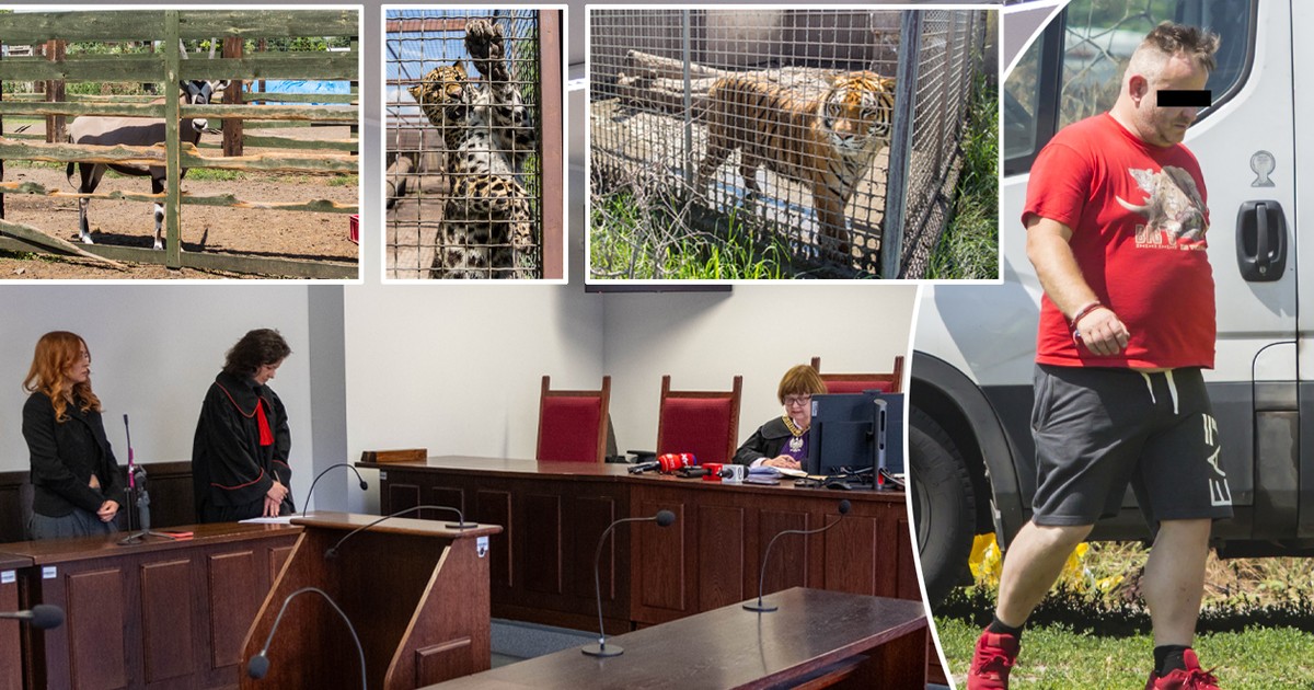 Więzienie za nielegalną hodowlę zwierząt