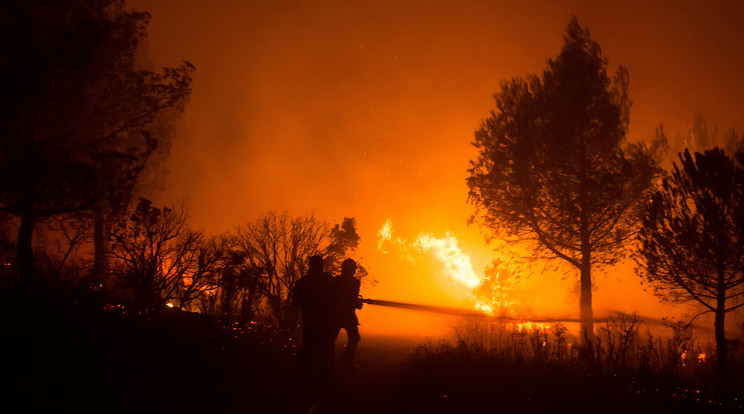 Augusztus közepén pusztított brutális erdőtűz Franciaországban /Fotó: AFP