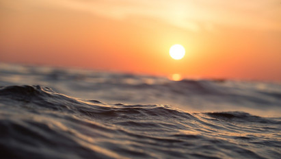 Kiderült, mivel lehetne egyensúlyozni az óceánvíz savasodását