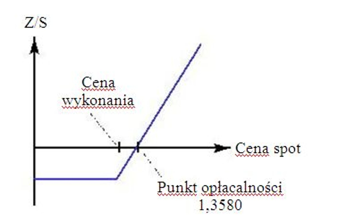Wprowadzenie do opcji walutowych