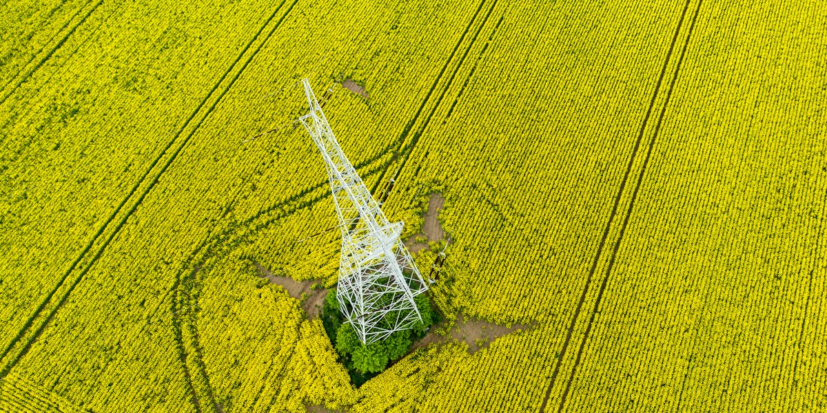 ZE PAK chce wznowić przesył energii elektryczny między Polską a Ukrainą nieczynną od 30 lat linią Rzeszów-Chmielnicka. Spółka koszt inwestycji szacuje na kilkaset milionów złotych (zdjęcie ilustracyjne)