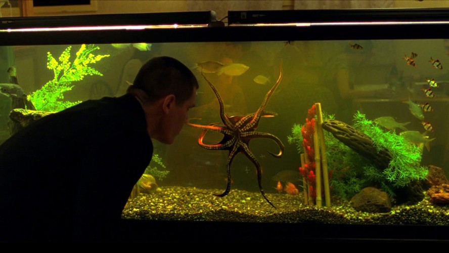 'Oldboy. Zemsta jest cierpliwa'