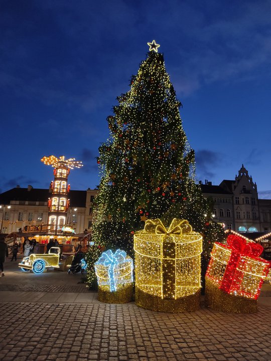 Świąteczna choinka na Starym Rynku