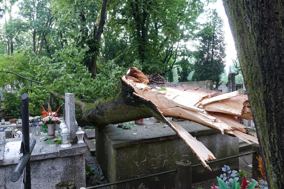 Skutki burz, które przeszły w poniedziałek nad Płockiem