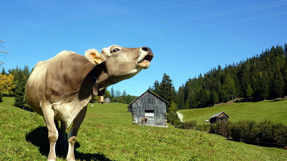 Południowy Tyrol, Włochy