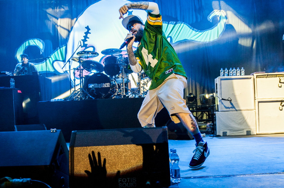 Limp Bizkit.  Koncert w Krakowie - czerwiec 2015