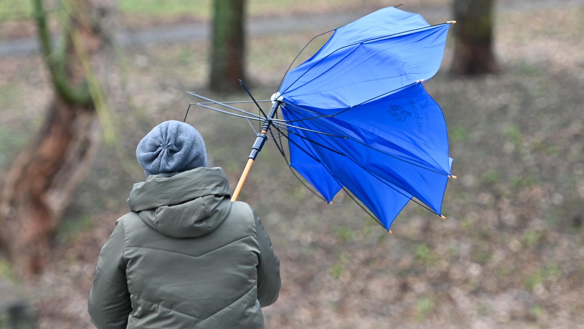 Ostrzeżenia przed silnym wiatrem w całej Polsce. Straż pożarna apeluje