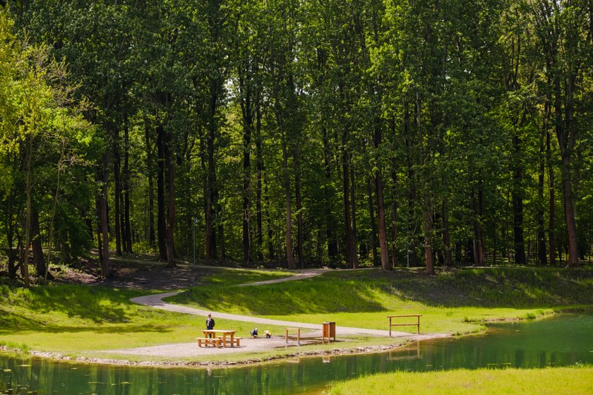 Park Tysiąclecia przeszedł metamorfozę