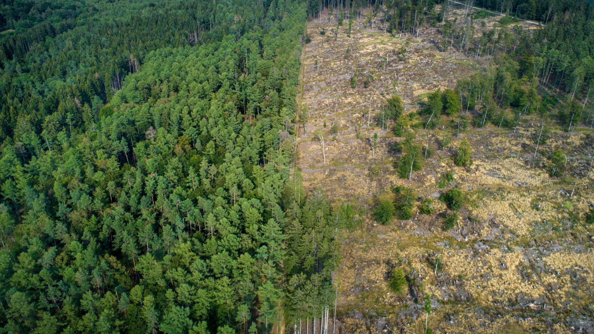 Za zhoršenie klimatických zmien môžu ľudia.