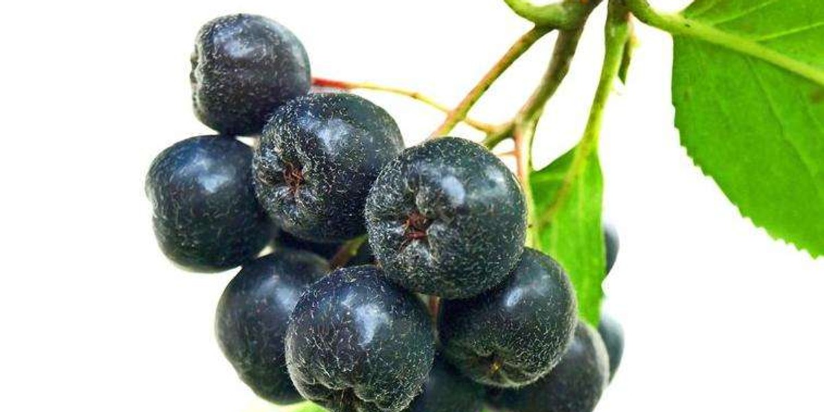 Aronia na deser