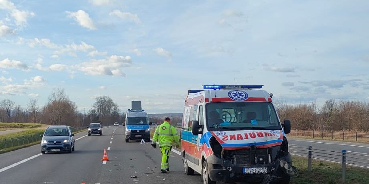 Niezwykły wypadek karetki koło Tarnowa. Na drogę wtargnął intruz.