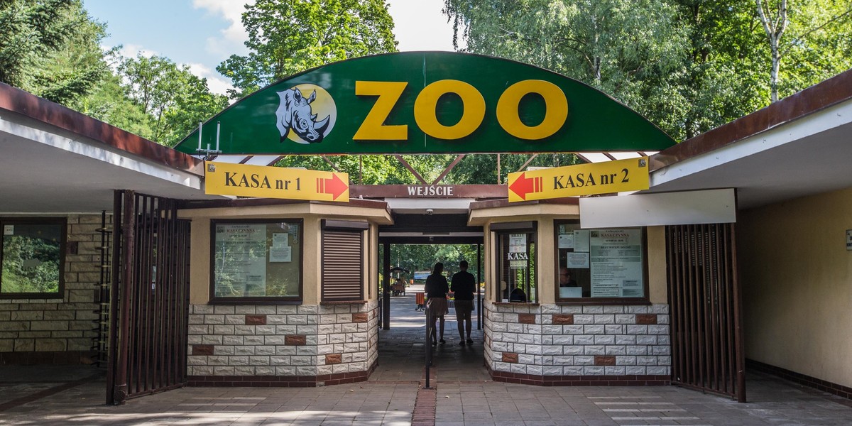 Wielkie zmiany w Zoo. Bilet przez internet i aplikacja na telefon!