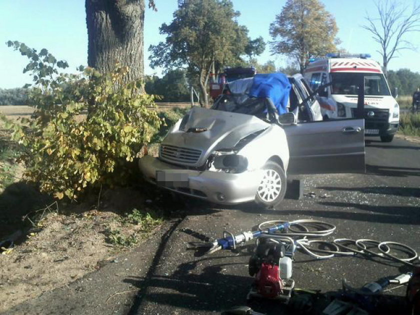 Auto uderzyło w drzewo