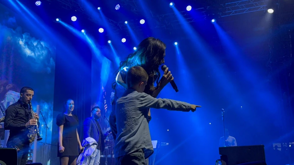 Ceca Ražnatović, koncert