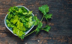 Kolendra ma wielką moc! Działa antynowotworowo. Podnosi też libido