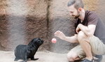 Kotiki urodziły się we wrocławskim zoo