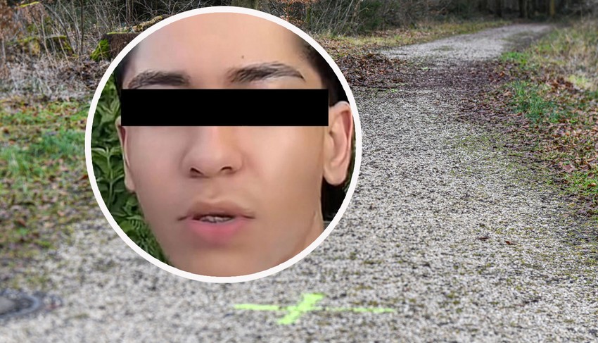 Dečak koji je ubio devojčicu u šumi 