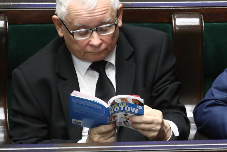 Jarosław Kaczyński czytał w Sejmie "Atlas kotów"
