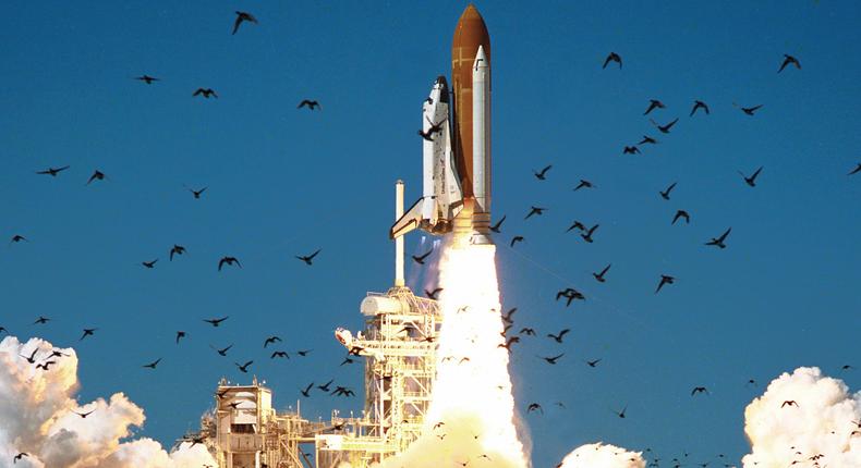 nasa space shuttle challenger launch flock birds 51l jan 28 1986