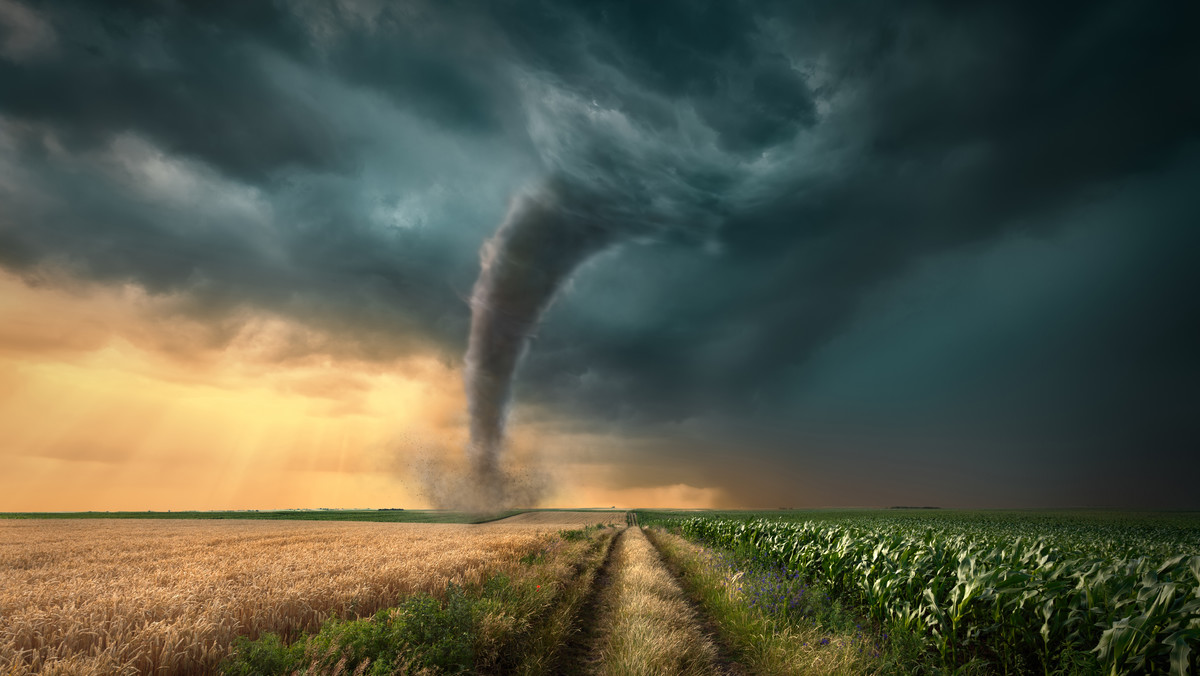 Już w dwóch minionych wiekach w Polsce odnotowywano trąby powietrzne, które unosiły w powietrze ludzi i zwierzęta. Wraz z ociepleniem klimatu burze będą coraz częstsze, ale trudno oszacować jak zmieni się ich intensywność – mówi dr Mateusz Taszarek „łowca burz” i prognosta z UAM.