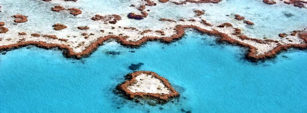 Wielka Rafa Koralowa – zwana również Wielką Rafą Barierową. Największa na świecie rafa koralowa, położona u wybrzeży Australii. Jest to największa na Ziemi pojedyncza struktura wytworzona przez organizmy żywe, widoczna nawet z kosmosu. Wielka Rafa Koralowa jest zagrożona przez szybki rozwój wybrzeża. W ciągu ostatnich 27 lat pokrywa korali spadła o 50 procent.