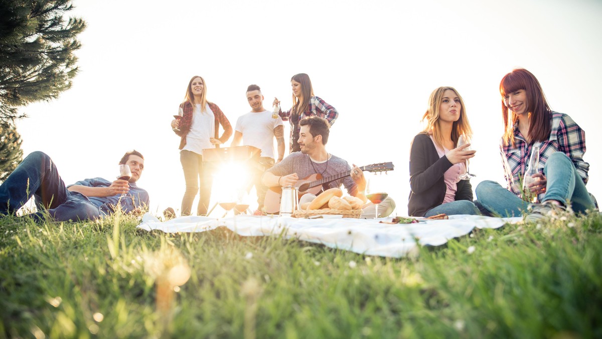 Friends having picnic