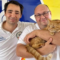 Hálásak a mentők: így került meg az elkóborolt mentőmacska