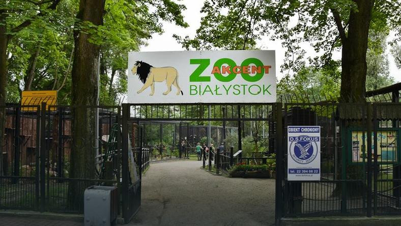 Białostocki Akcent Zoo
