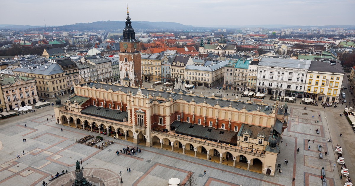 Zaginiona gołębica Siwa w Krakowie - nagroda za pomoc!