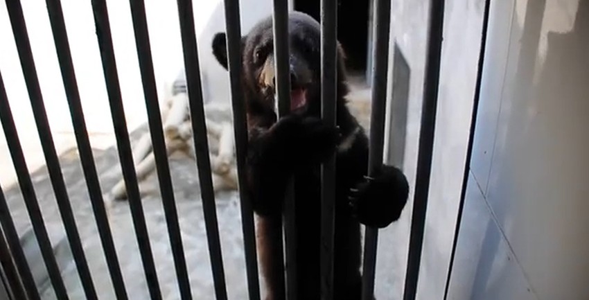 Iza rešetaka, ali spasen od užasne sudbine