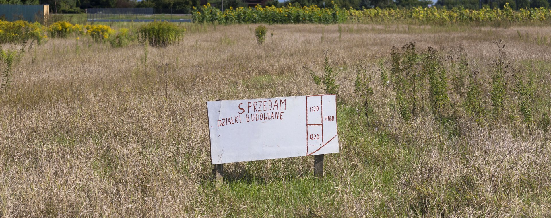 Sprzedaż działki po działalności? Tłumaczymy, co z PIT