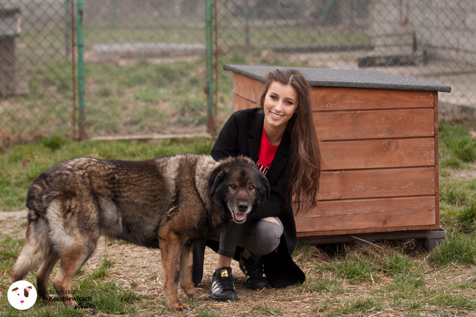 Miss Polski, Paulina Maziarz pomaga w schronisku w Korabiewicach