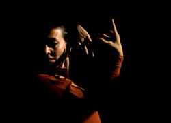 Flamenco w sercu zmarzniętej stolicy