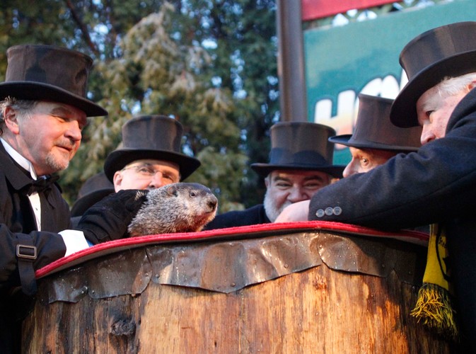 Świstak Phil przepowiada wczesną wiosnę