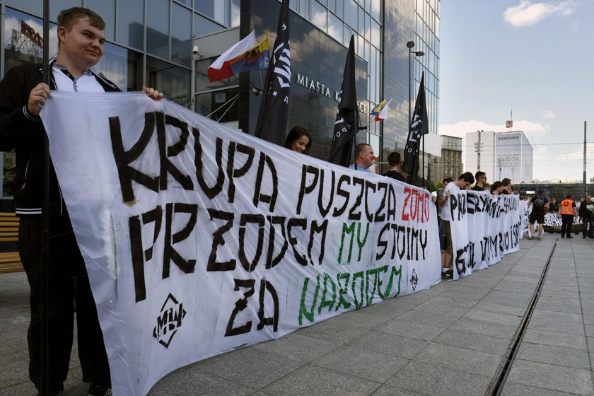 Katowice. Manifestacja Młodzieży Wszechpolskiej