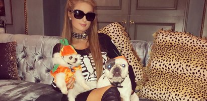 Rajskie życie Paris Hilton. Mieszka jak księżniczka