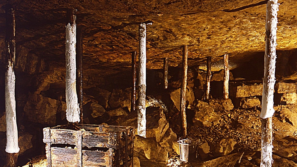 Pochodząca z rudzkiej kopalni "Bielszowice" ponadstuletnia parowa maszyna wyciągowa - jedna z największych atrakcji skansenu maszyn parowych w Tarnowskich Górach - przeszła gruntowny remont. Ważący 150 ton eksponat został odmalowany i zakonserwowany.