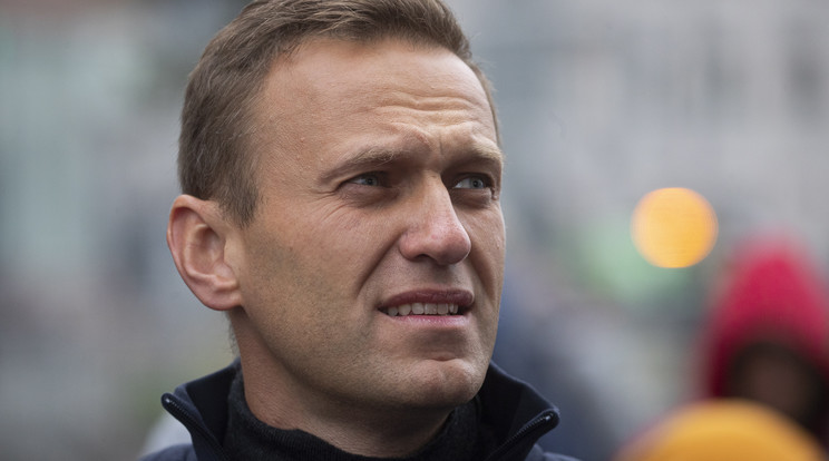 2019. szeptember 29-én Moszkvában készített kép Alekszej Navalnij orosz ellenzéki vezetőről és korrupcióellenes aktivistáról.  / Fotó: MTI/EPA/Szergej Ilnyickij