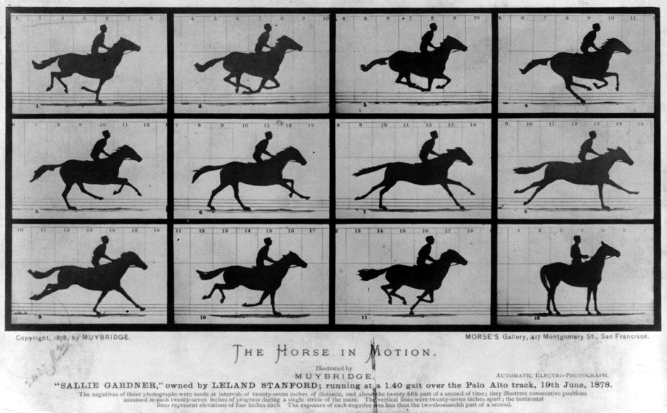 The Horse in Motion. Fot. Eadweard Muybridge, domena publiczna. 