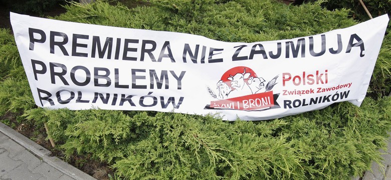 Protest rolników w Białymstoku. Domagają się pomocy od rządu w związku z afrykańskim pomorem świń