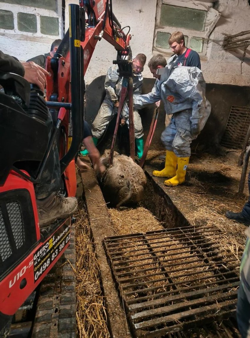 Da bi je spasili morali su da koriste tešku mehanizaicju