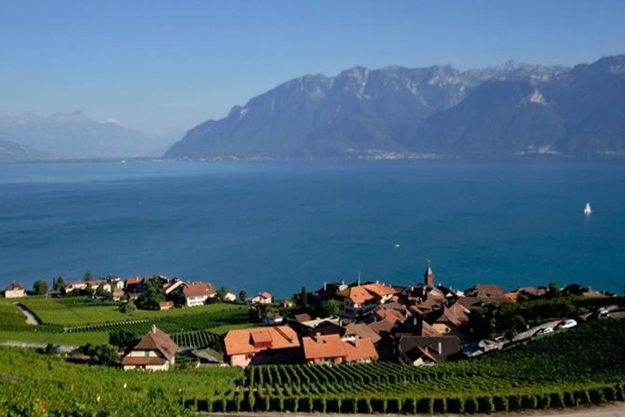 winnice lavaux