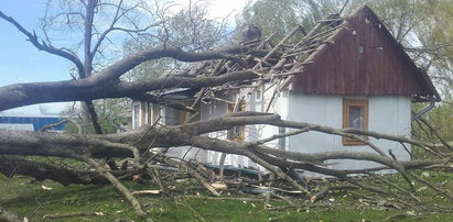 Wichura powaliła drzewo na dom. Lokatorka w szoku