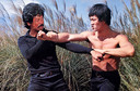 40 lat temu odszedł Bruce Lee